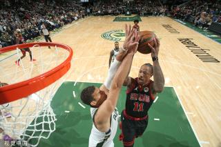 重要的作用 重要的作用